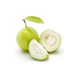Guava/Amrood 1kg (امرود)