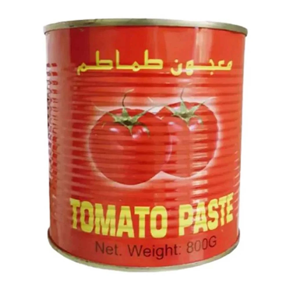 Dew Drop Tomato Paste 800gm