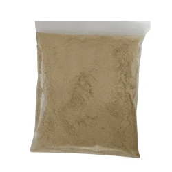 Dhania Powder (Coriander Powder) 100gm ( خشک دھنیا پاوڈر)