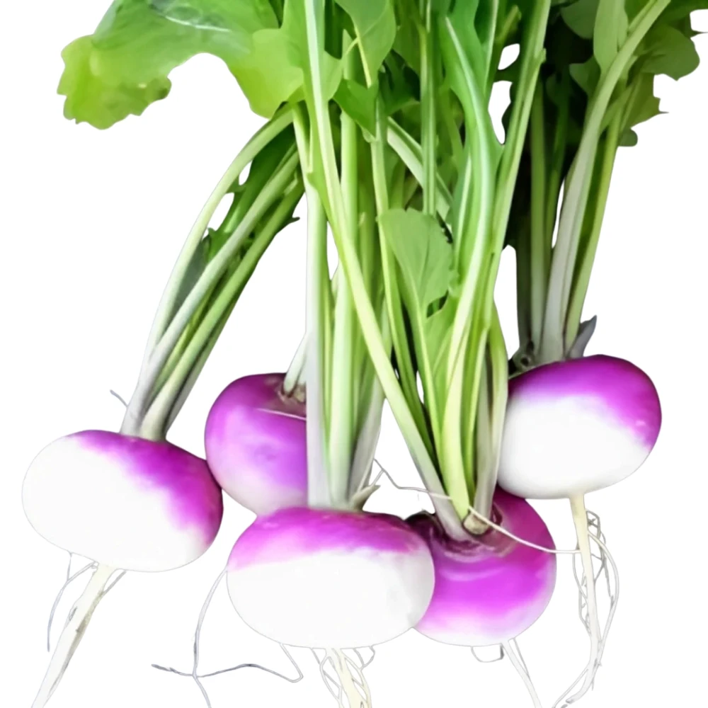 Turnip 1Kg (شلجم)