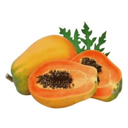 Papita 1000gm ± 100gm