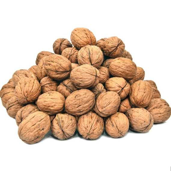Kaghzi Akhrot Sabat (Walnut in Shell) 200gm