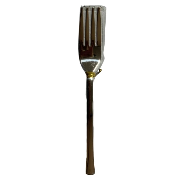 Stainless Fork Large Not Round 6 pcs set