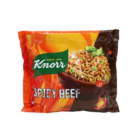 Knorr Spicy Beef 110g