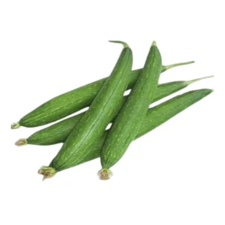 Torri 1Kg (توری )