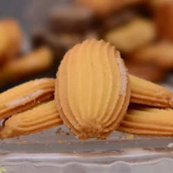 KARELA BISCUITS (500g)