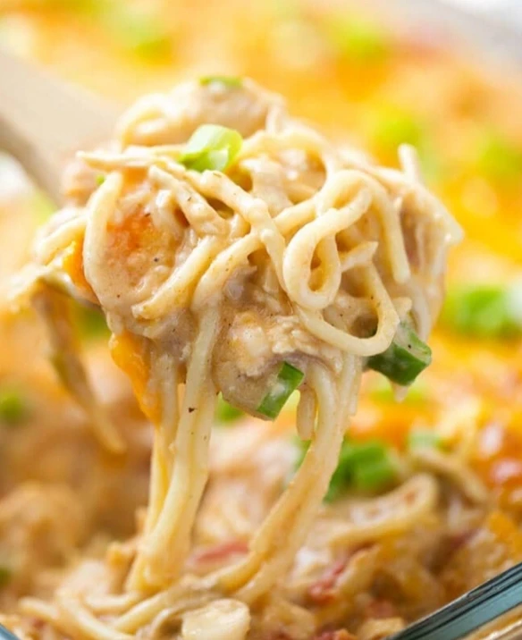 Creamy Chicken Spaghetti