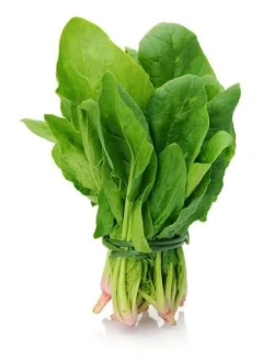 Spanish(Palak) 1 Bunch