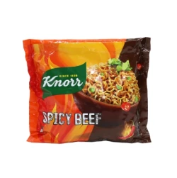 Knorr Spicy Beef 110g