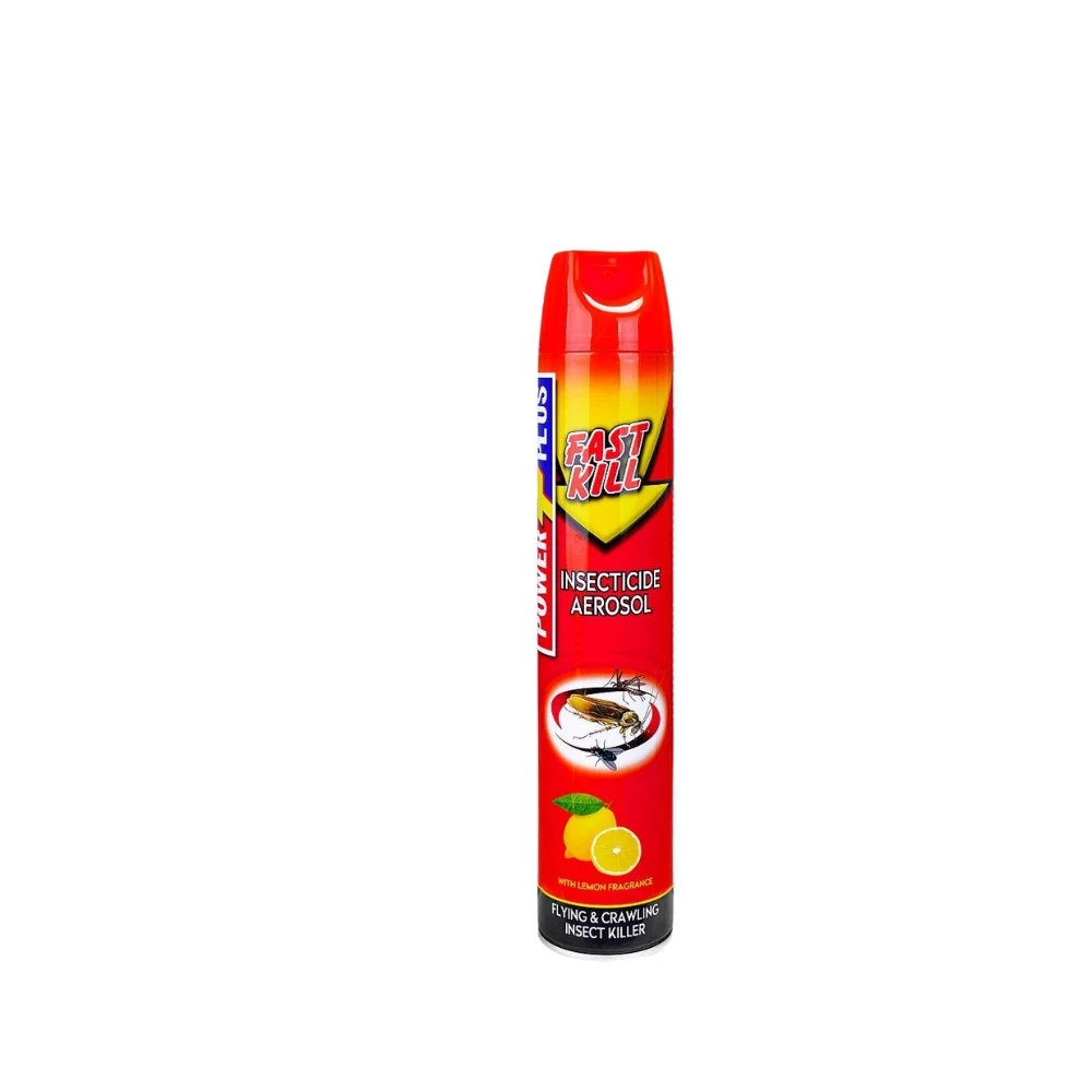 Power Plus Fast Kill Insecticide Aerosol, 600ml