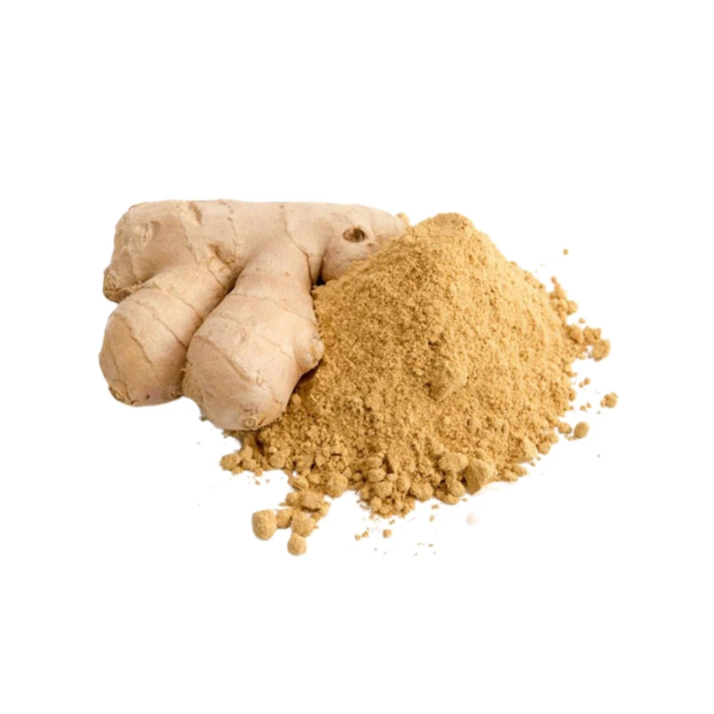 Ginger Powder 100gm