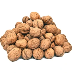Kaghzi Akhrot Sabat (Walnut in Shell) 200gm