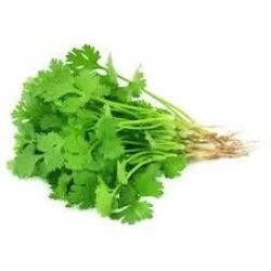 Coriander 100g (Dhaniya)