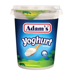 Adam Natural Yoghurt 400gm